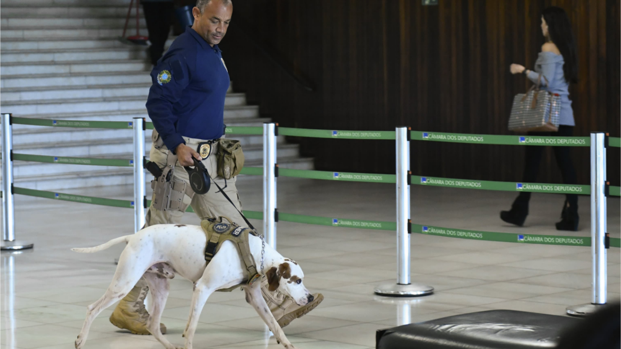 Pira varredura chapelara - Geraldo Magela/Agencia Senado