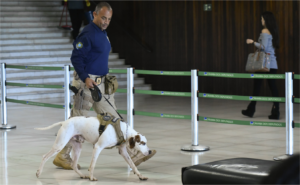 Pira varredura chapelara - Geraldo Magela/Agencia Senado